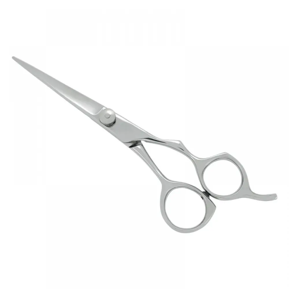 Professional Hair Cutting Scissors, model OI-01-5042