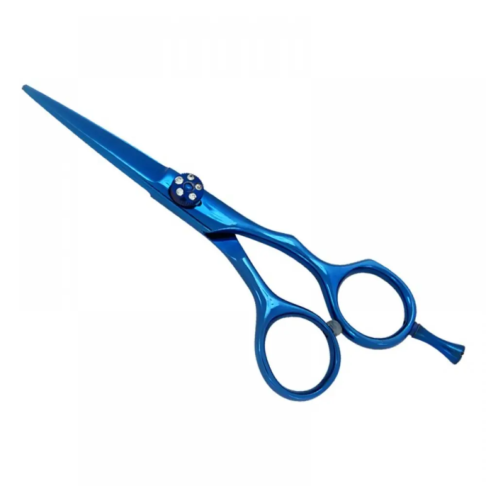 Professional Hair Scissors, model OI-01-5082
