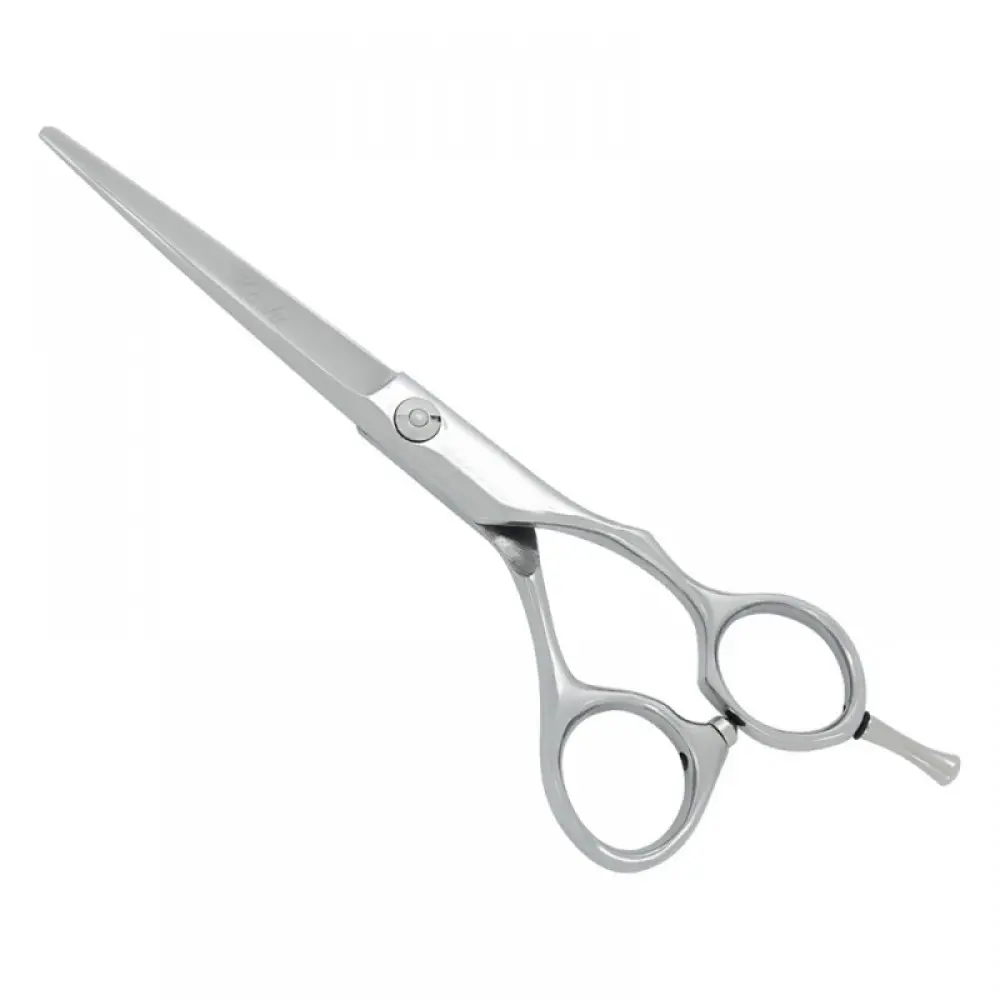 Professional Hair Cutting Scissors, model OI-01-5153