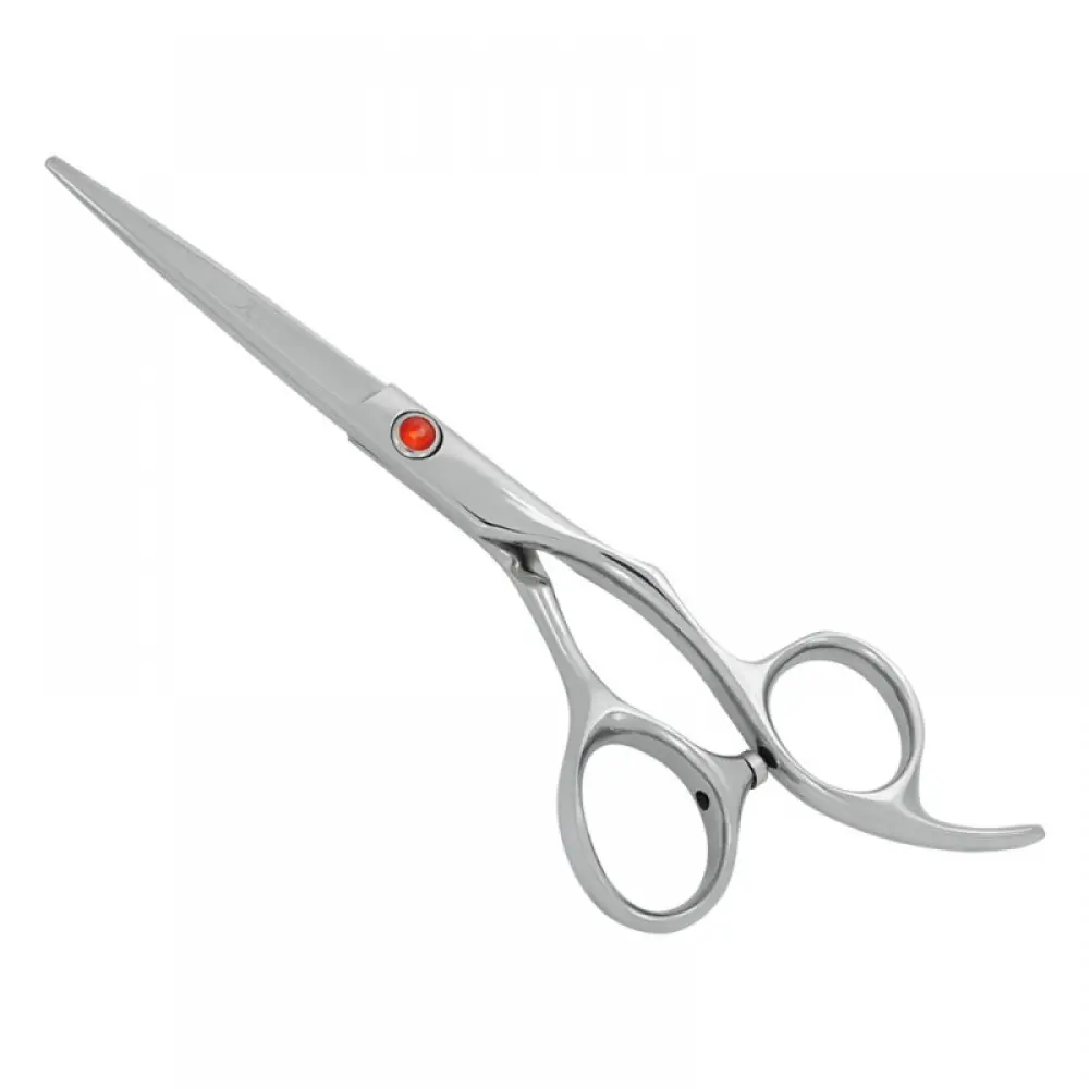 Professional Hair Cutting Scissors, model OI-01-5171