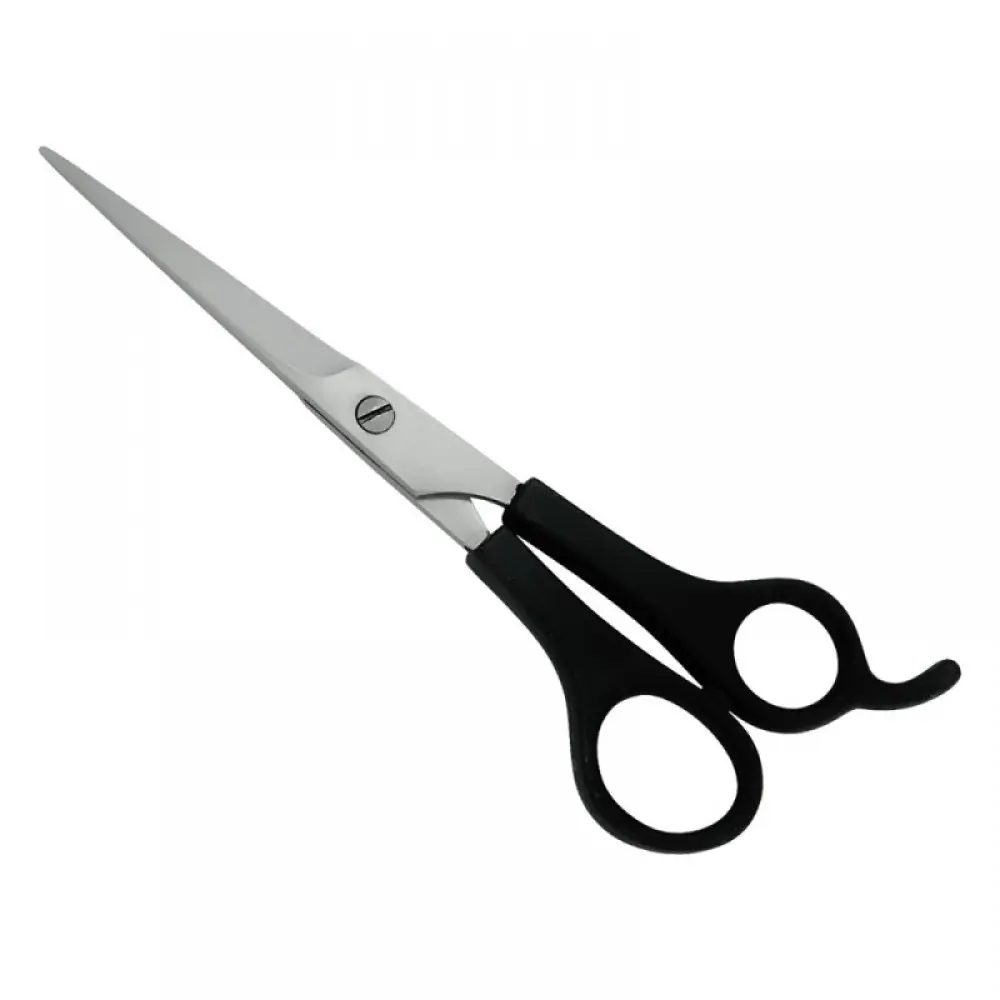Plastic Handle Scissors, model OI-04-5504