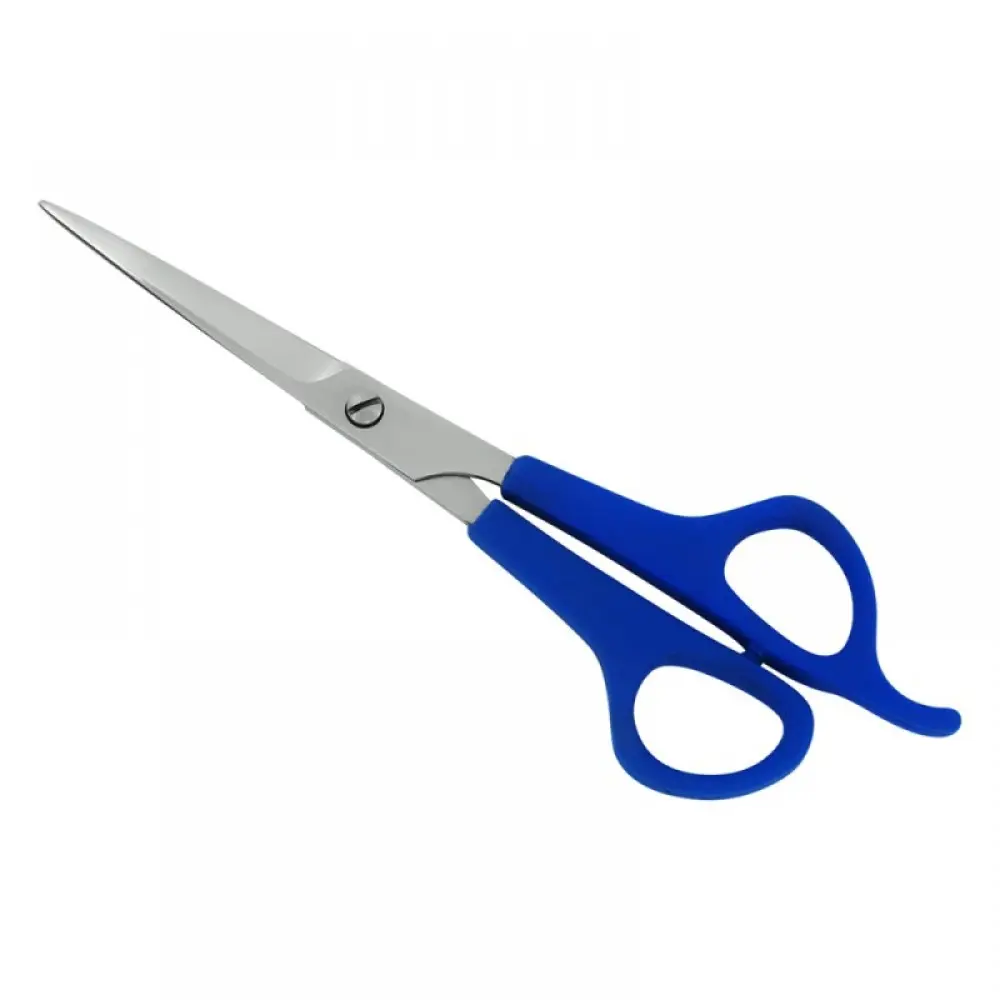 Plastic Handle Scissors, model OI-04-5517
