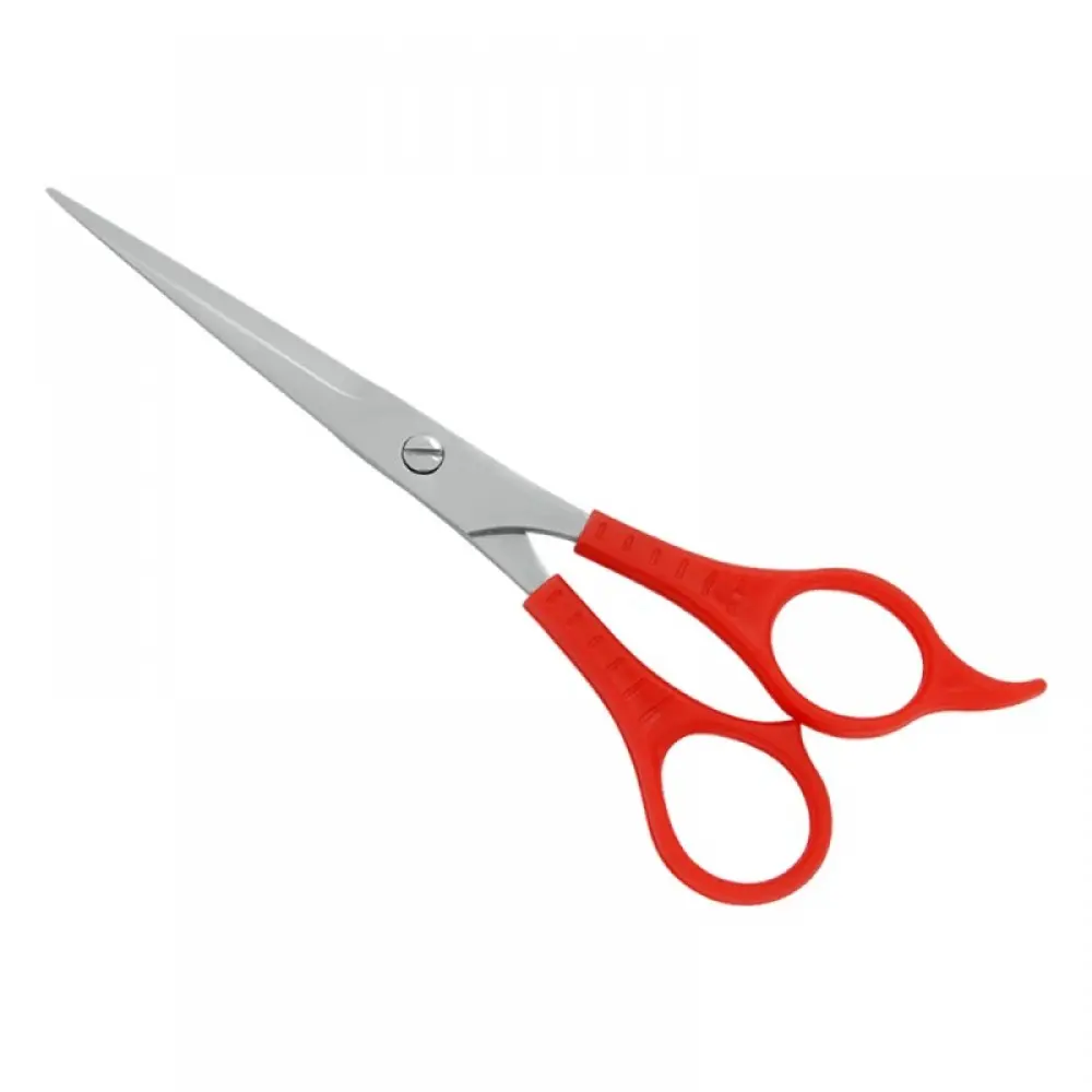 Plastic Handle Scissors, model OI-04-5519