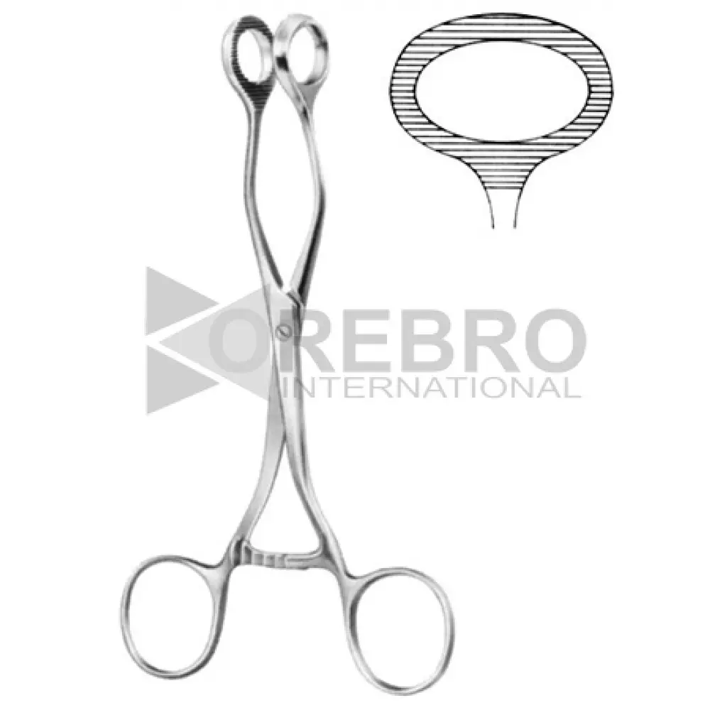 Guy Tongue Holding Forceps, model ORB-BPT-1937